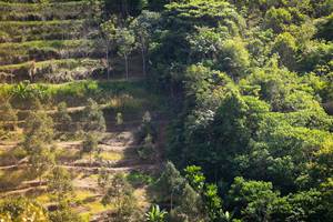 BIB: 
                            <button type="button" onclick="openModal(21899013)" class="btn btn-primary btn-sm float-right btn-popup" data-toggle="modal" data-target=".modal-high-quality">
                        <i class="fas fa-shopping-cart"></i> Add to Cart
                    </button>
                                            <button type="button" onclick="isThisMe(21899013, true)" class="btn btn-success btn-sm float-right btn-popup btn-isme hidden" data-toggle="tooltip" data-placement="bottom" title="นี่คือรูปของคุณใช่ไหม คลิกที่นี่เพื่อเอาเข้าอัลบั้ม">
                        <i class="fas fa-plus"></i> Add to album
                    </button>
                    <button type="button" onclick="isThisMe(21899013, false)" class="btn btn-warning btn-sm float-right btn-popup btn-isnotme hidden">
                        <i class="fas fa-ban"></i> Remove from album
                    </button>